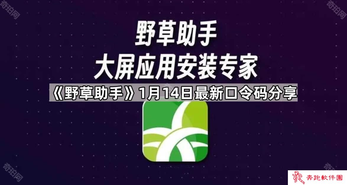 野草助手1.14最新视频口令是什么-1月14日最新口令码分享